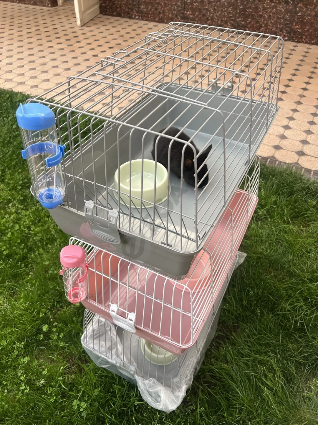 Image 4