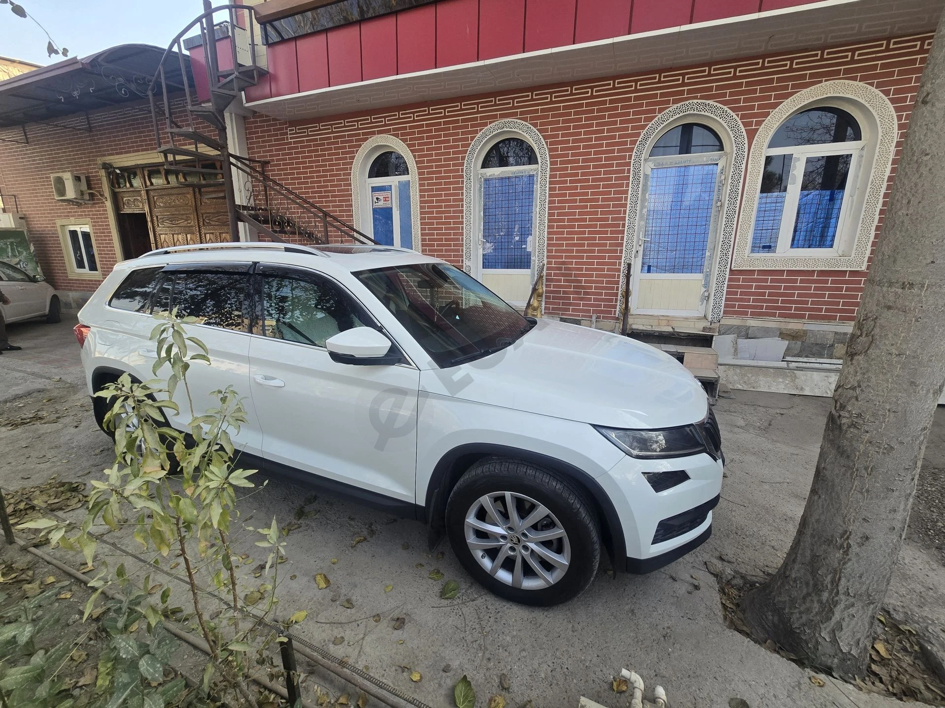 Image 5