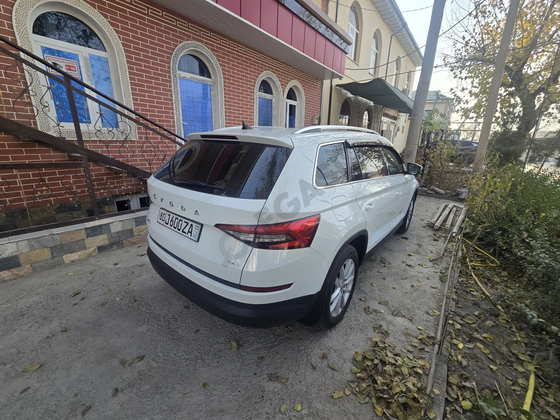 Image 6