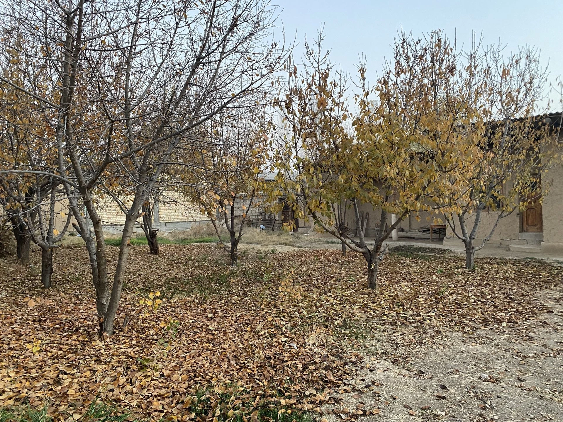 Uchqaxramon postidan kirganda 6km - Cover Photo