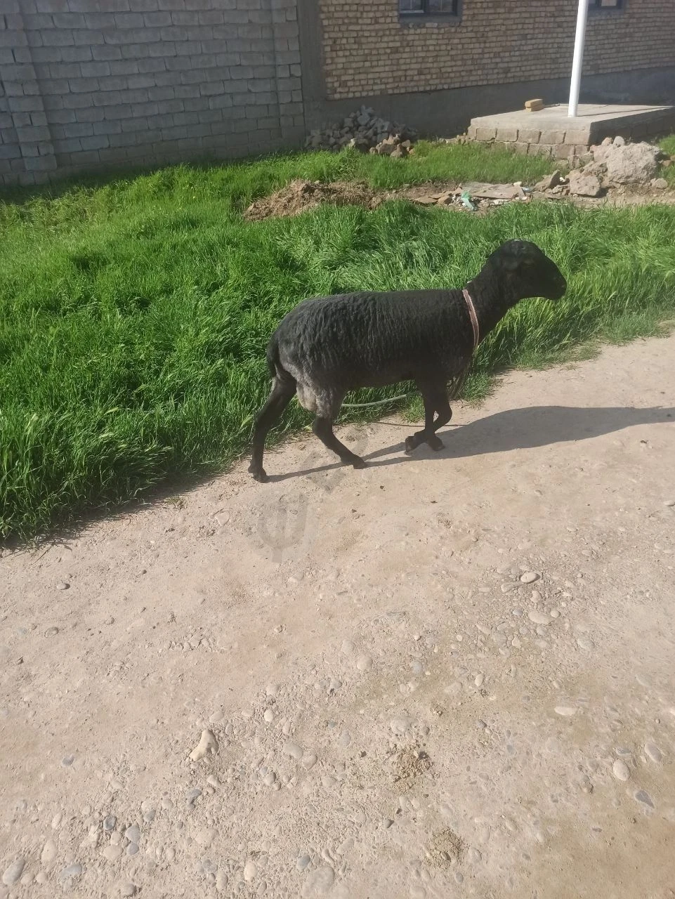 Advertisement - Cover Photo