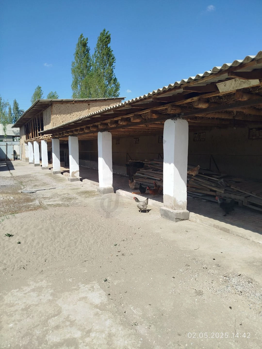 Image 2