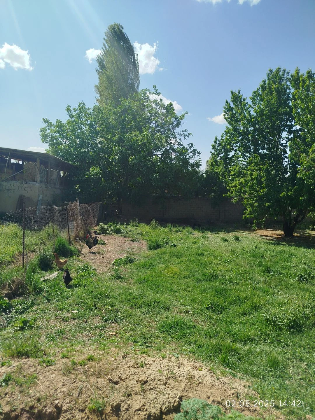 Image 6