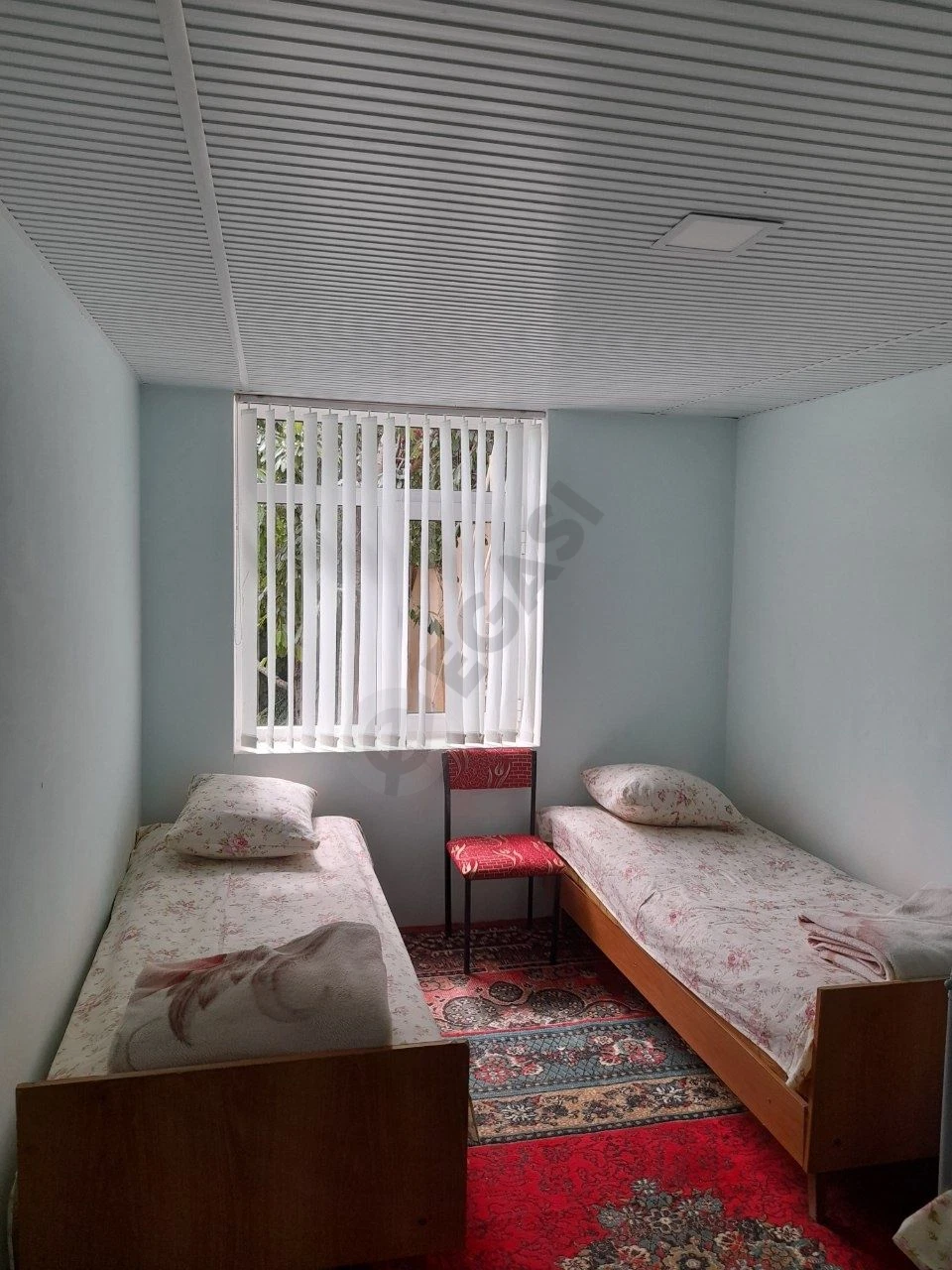 Image 6