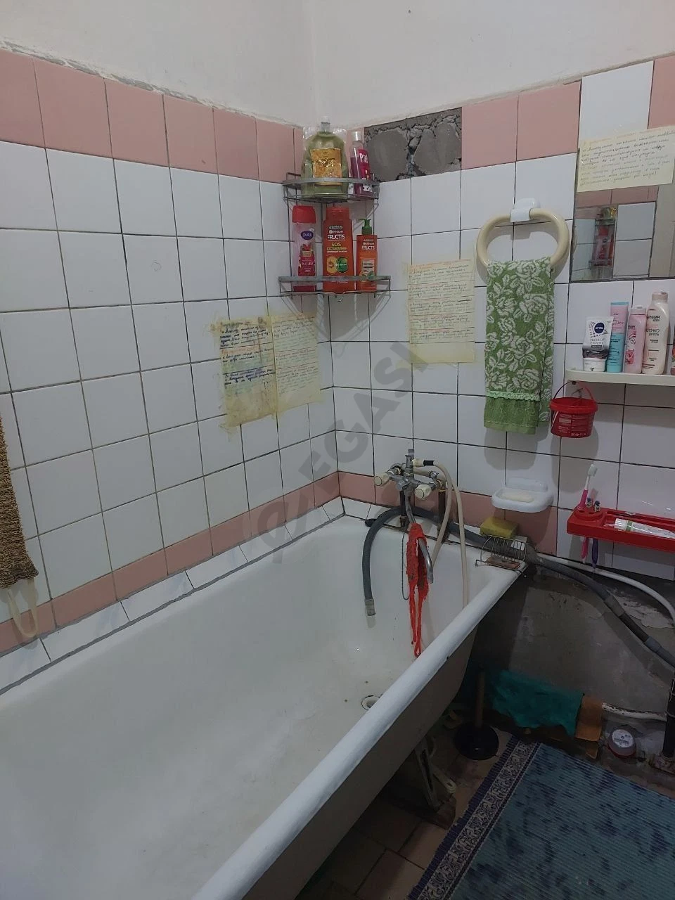 Image 8