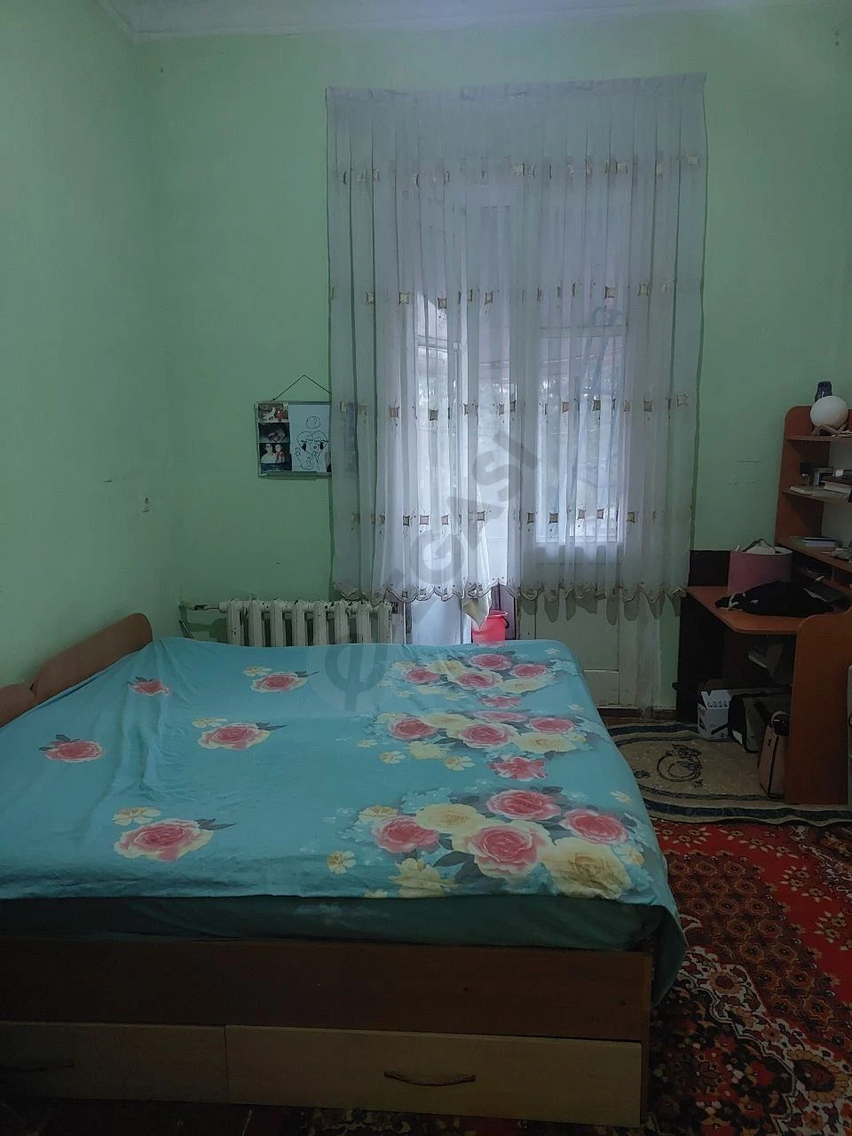 Image 12