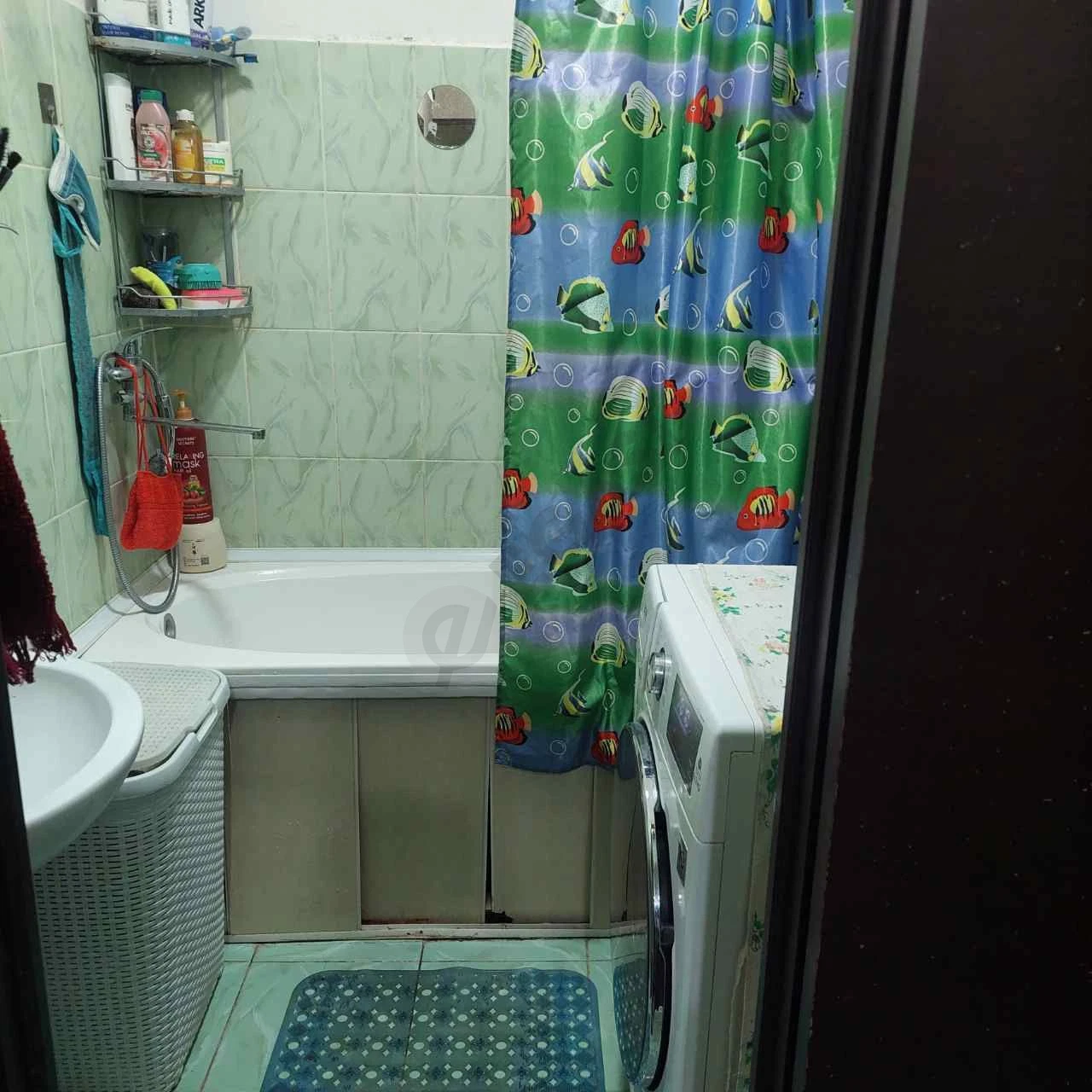 Image 3