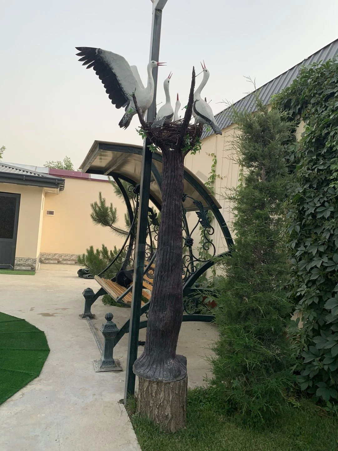 Image 10