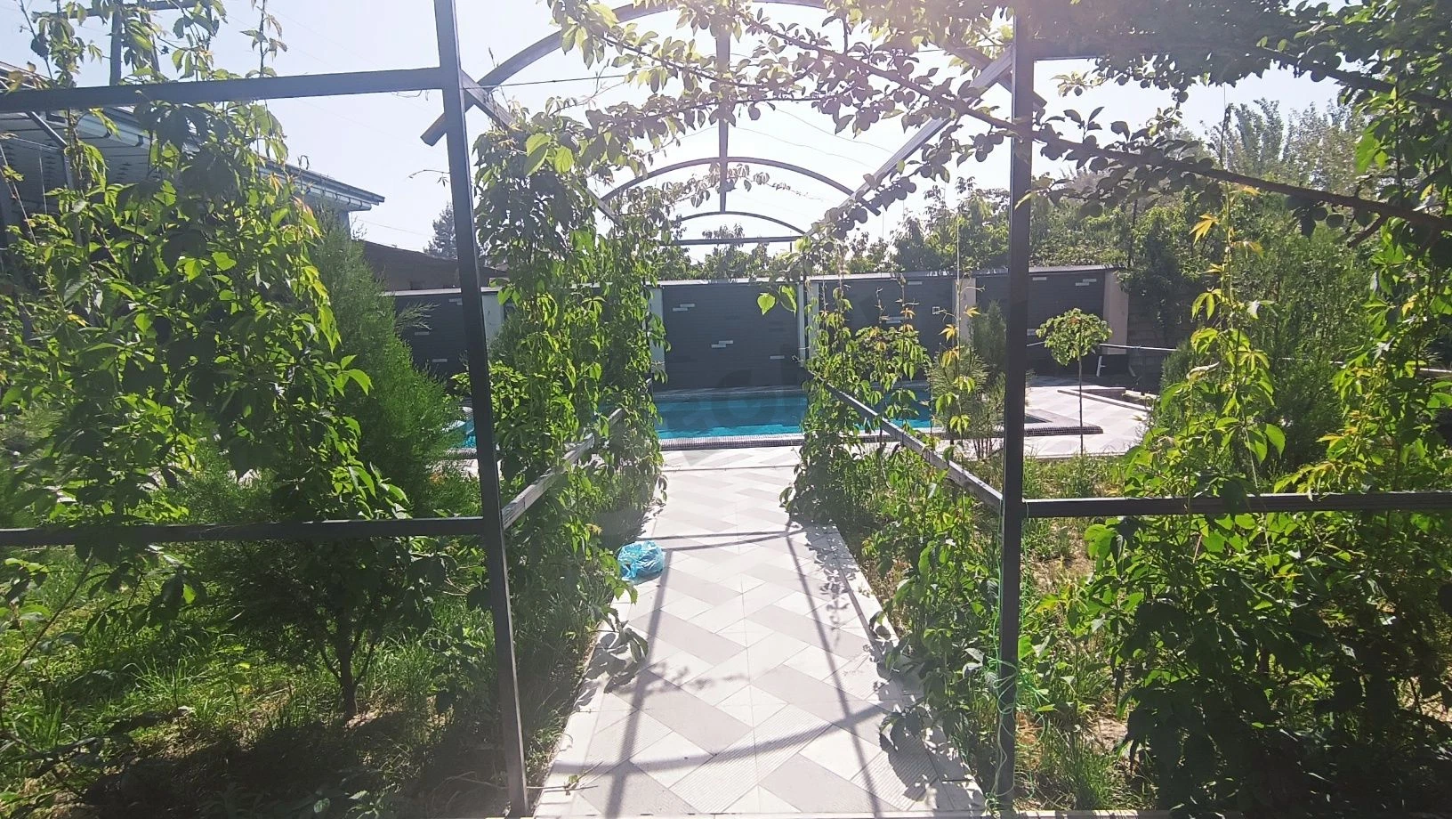 Image 7
