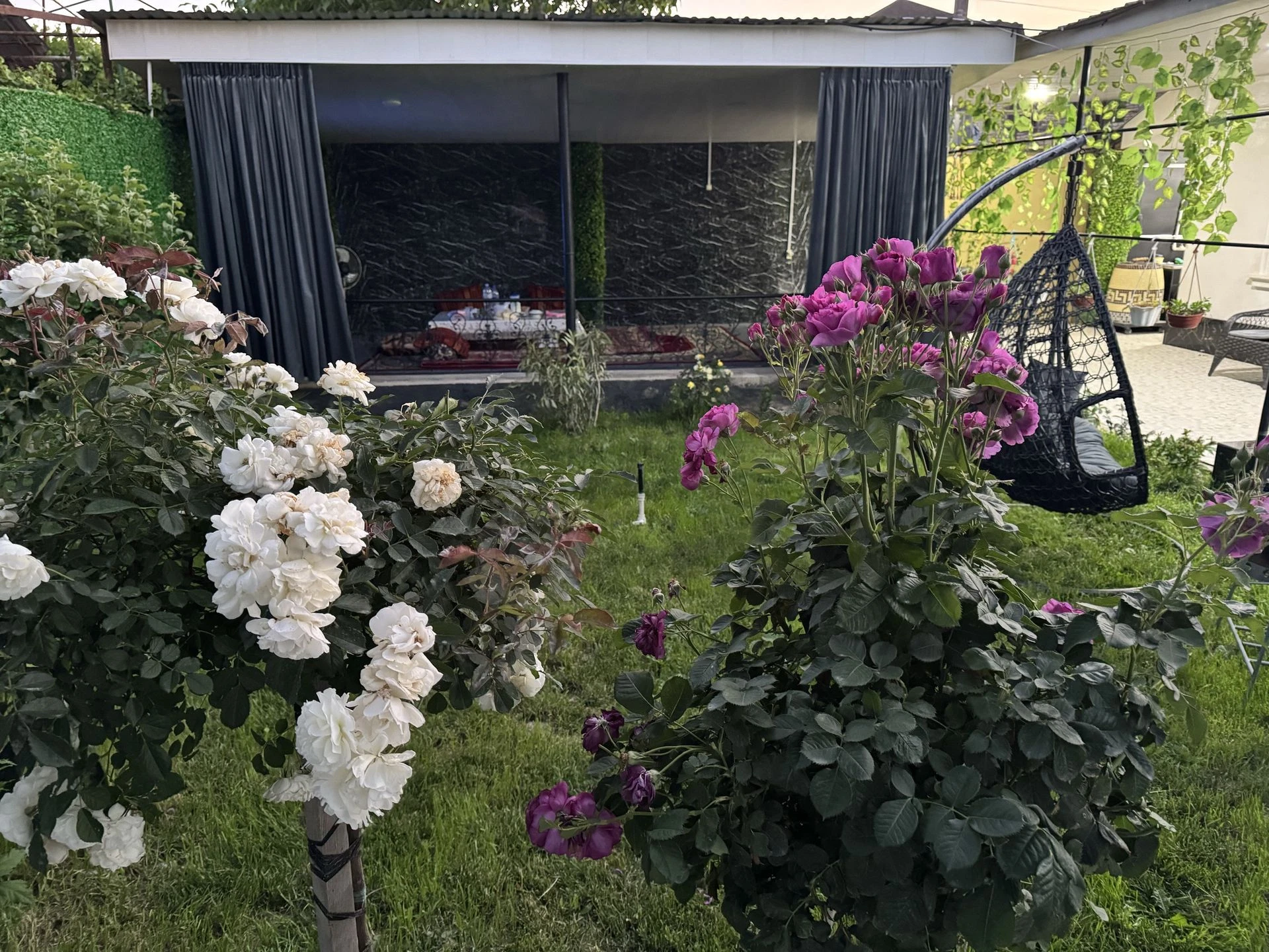 Image 6