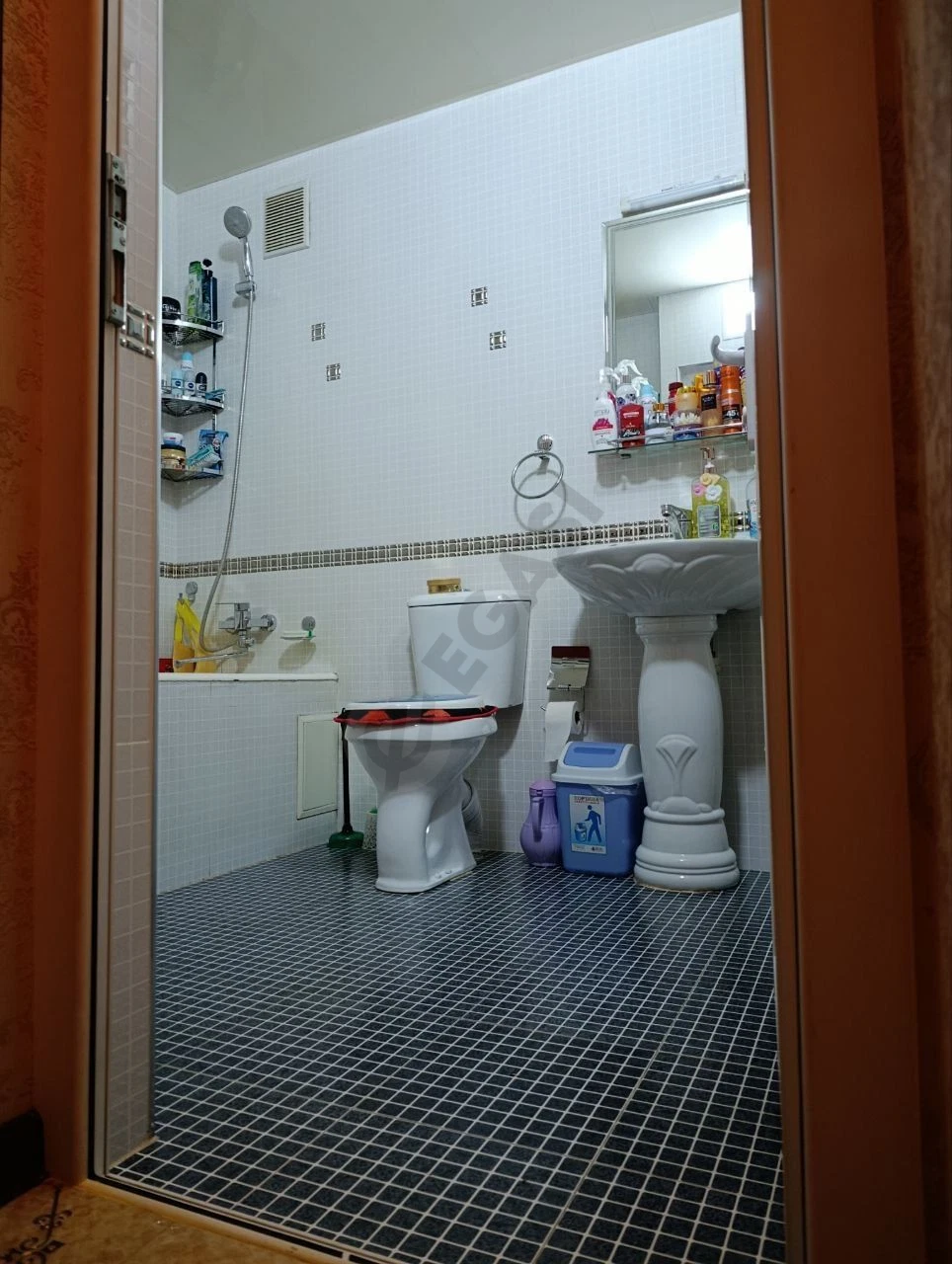 Image 6