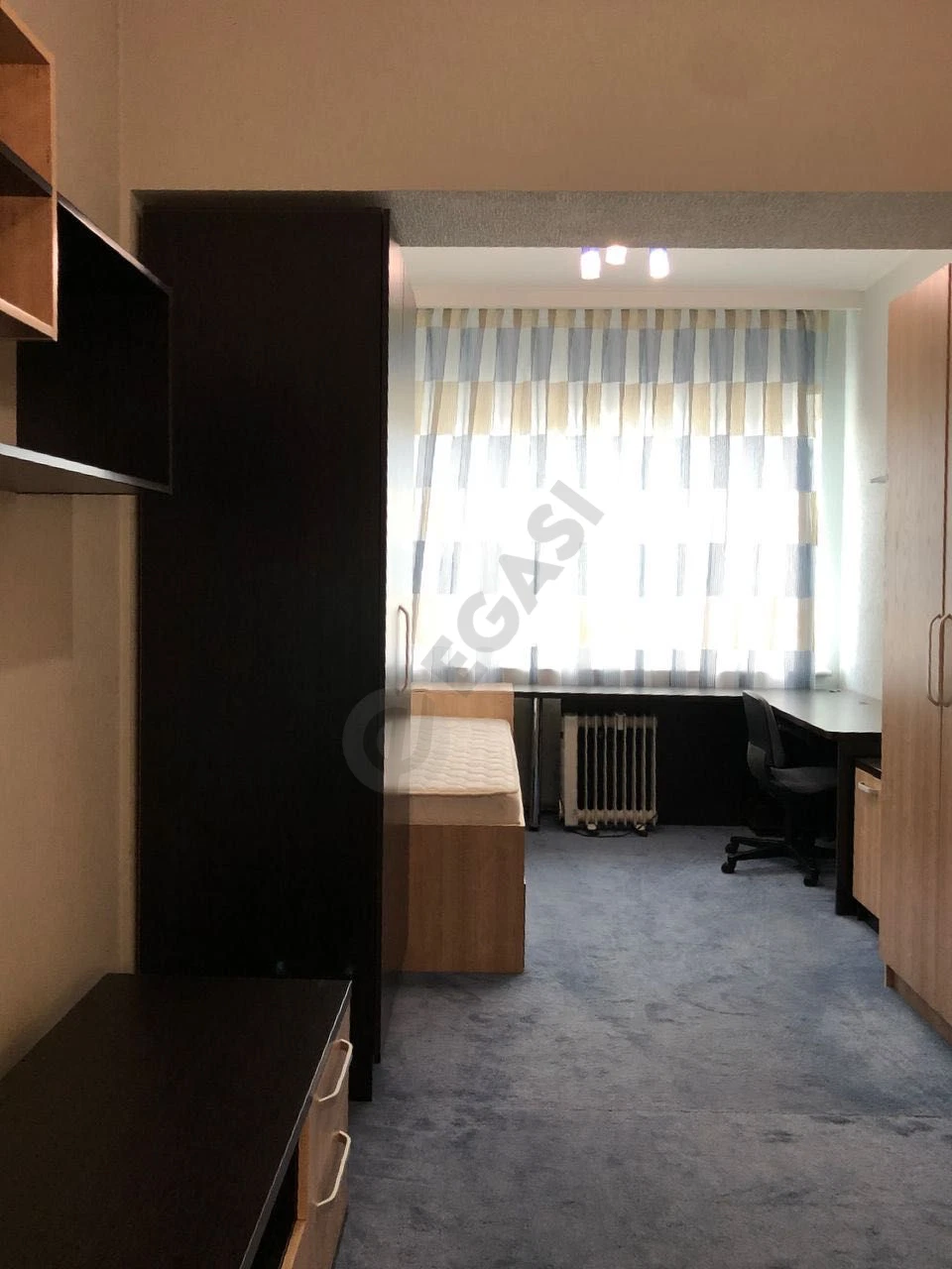 Image 8