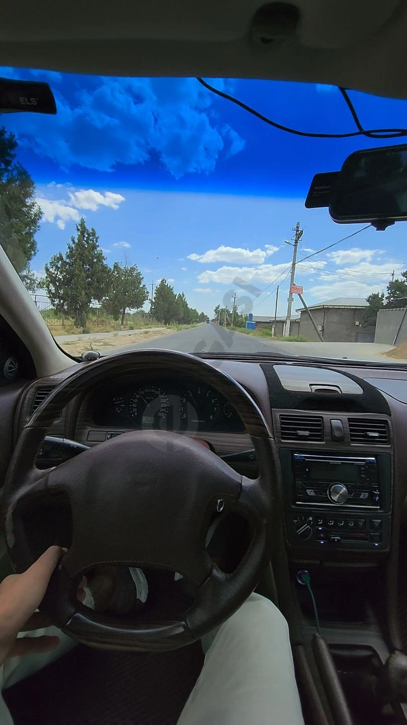 Image 6