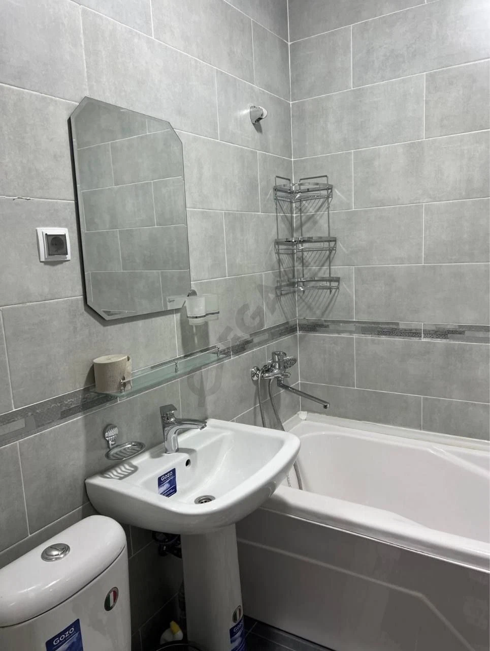 Image 5