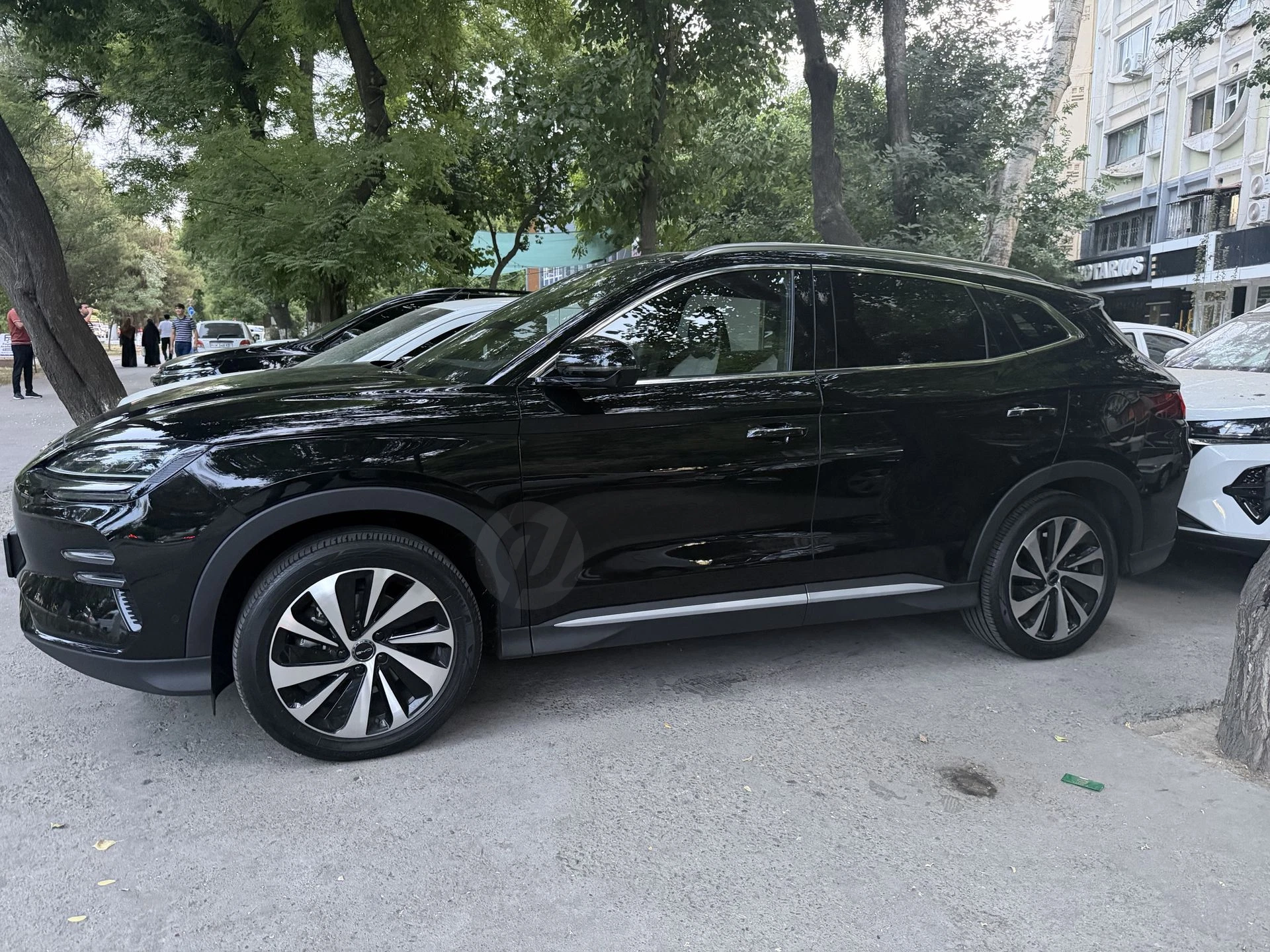 Byd Chempiyon 605 Honor 2023 Yil - Cover Photo