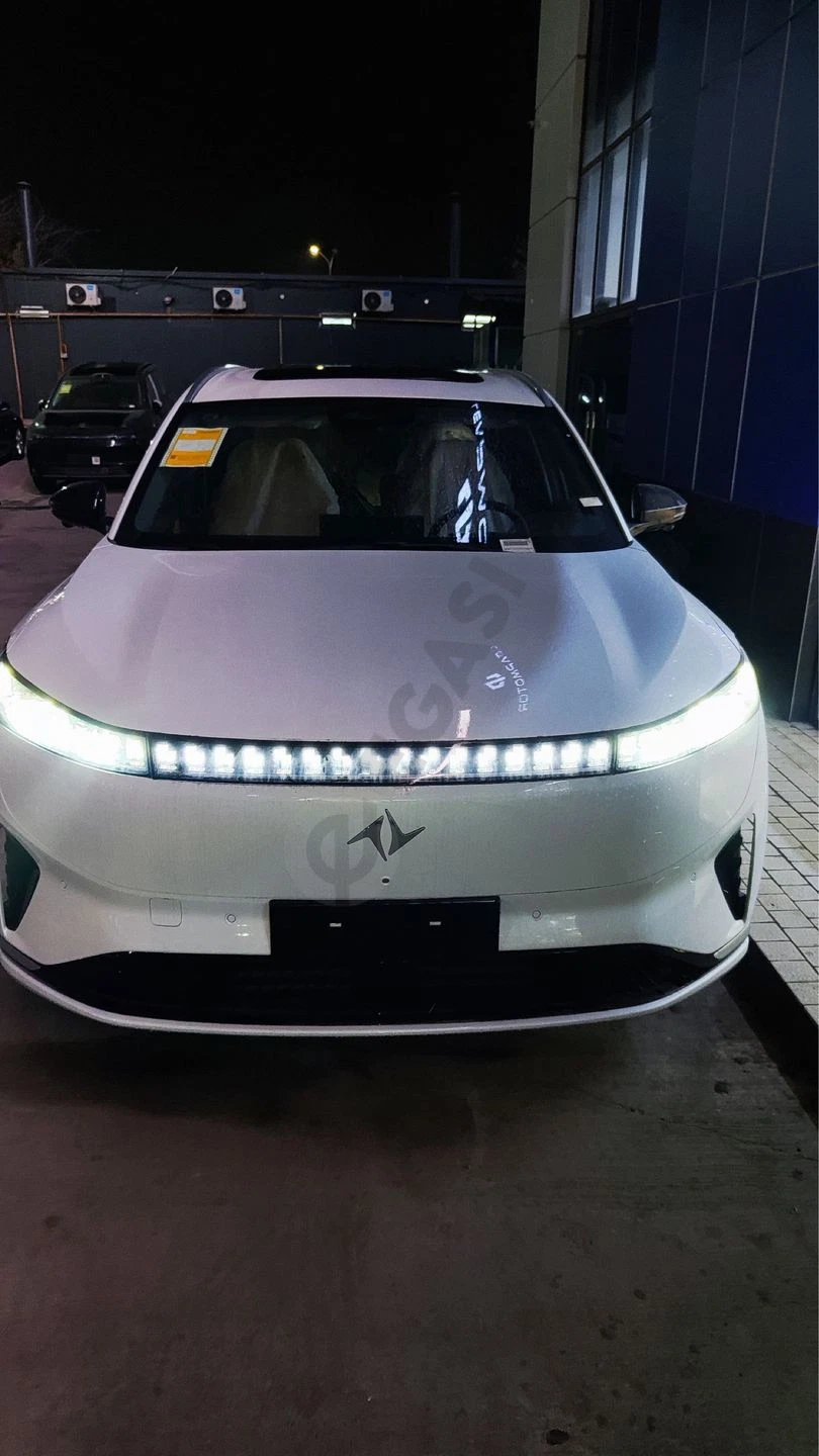 Dongfeng EP 008 Max - Cover Photo