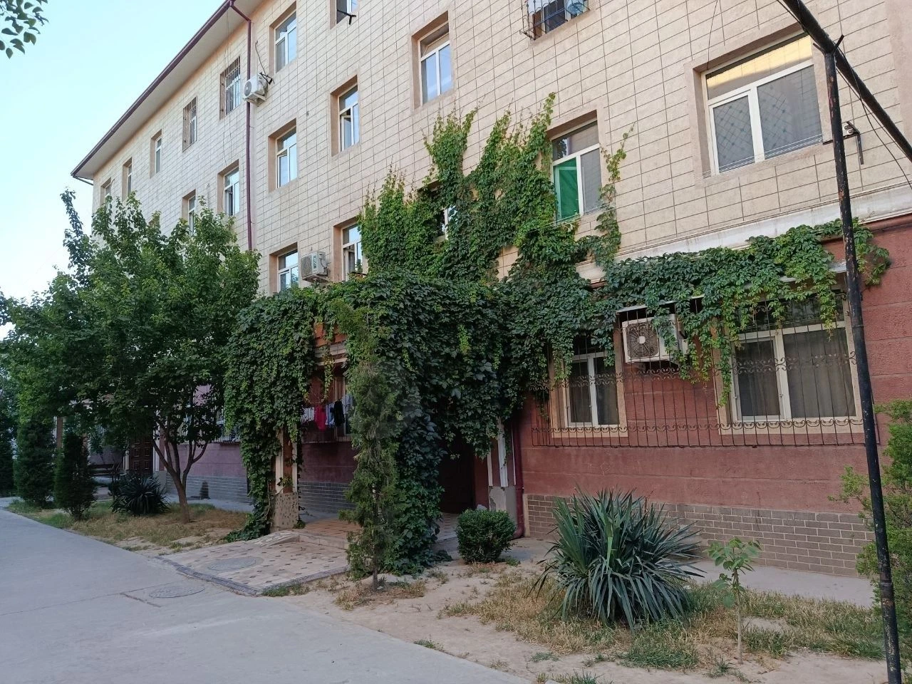 Image 5
