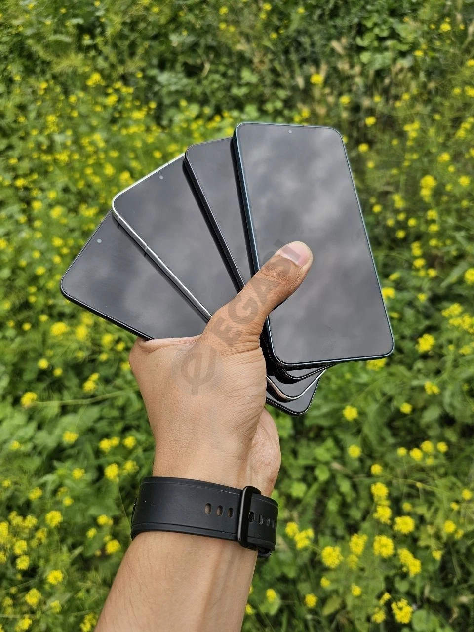 Image 2