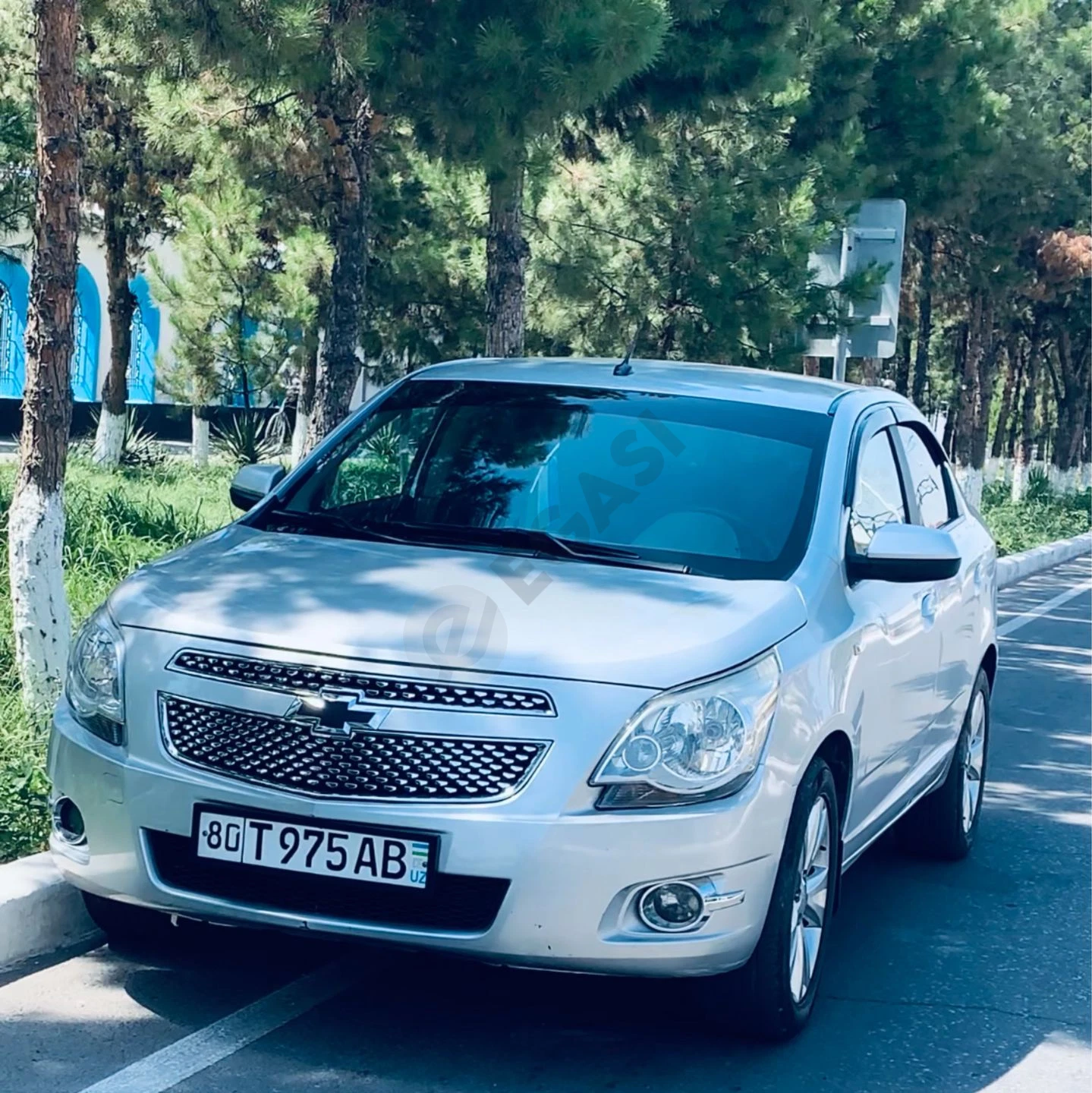 Cobalt chevrolet - Cover Photo