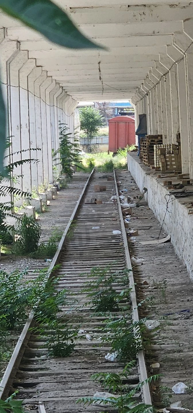 Image 11