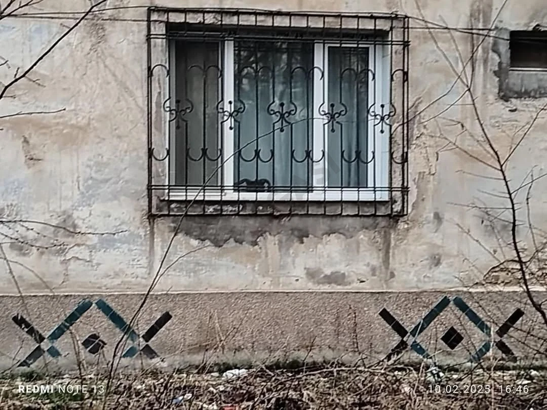 Image 9