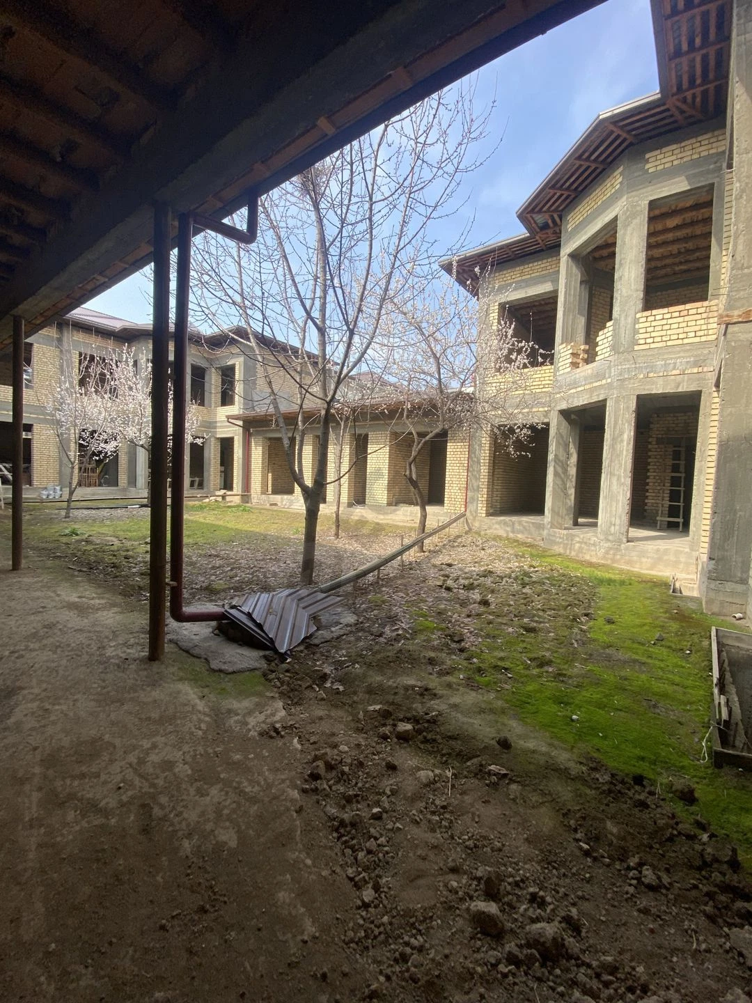 Image 5
