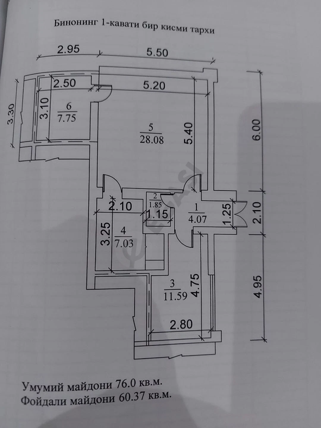 Image 5
