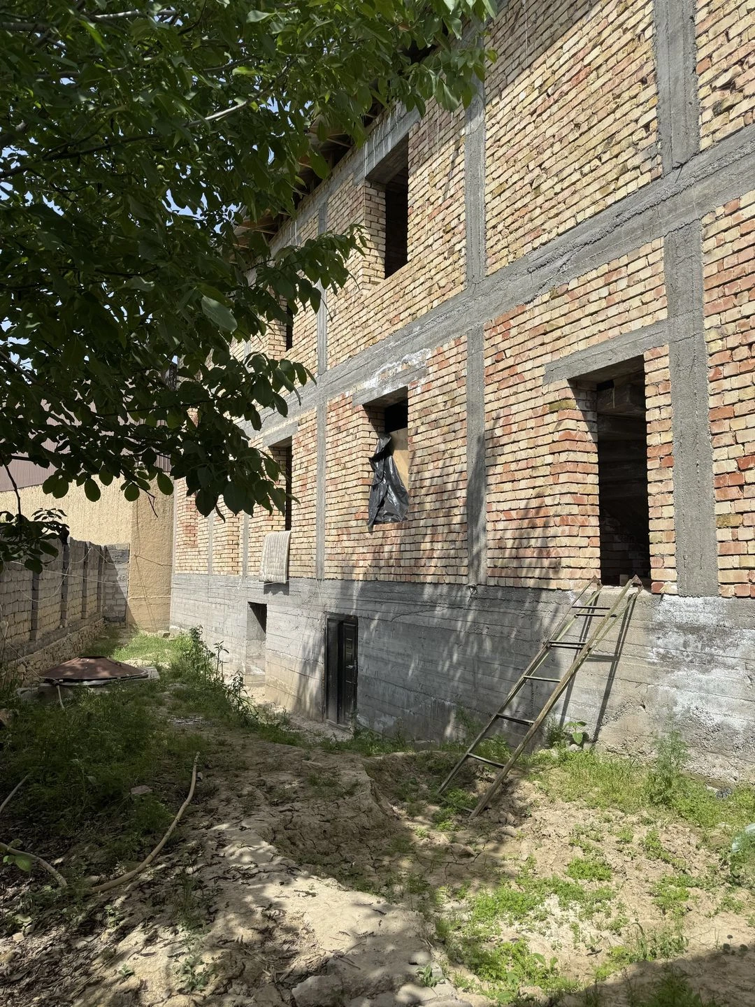 Image 8
