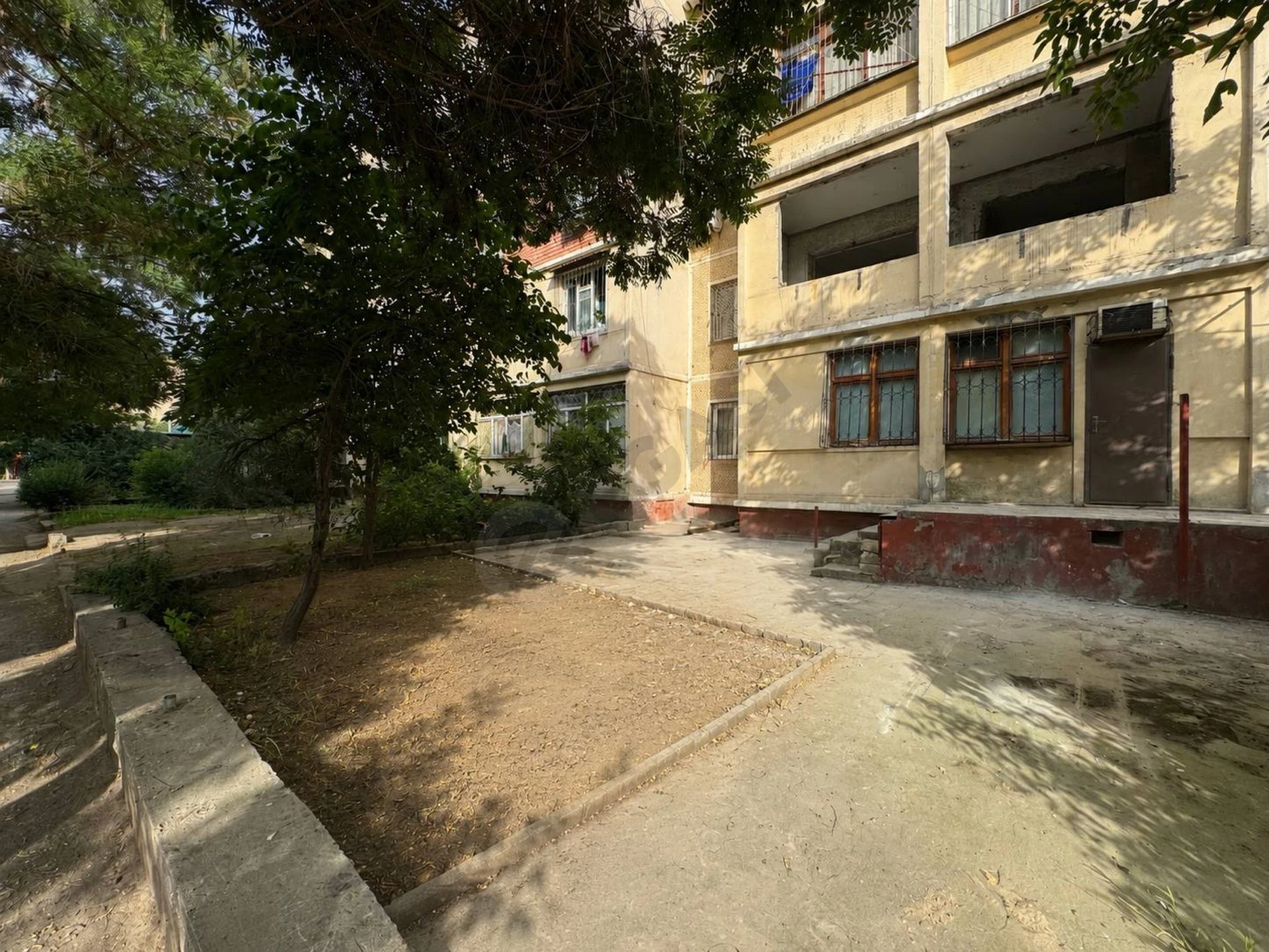 Image 6