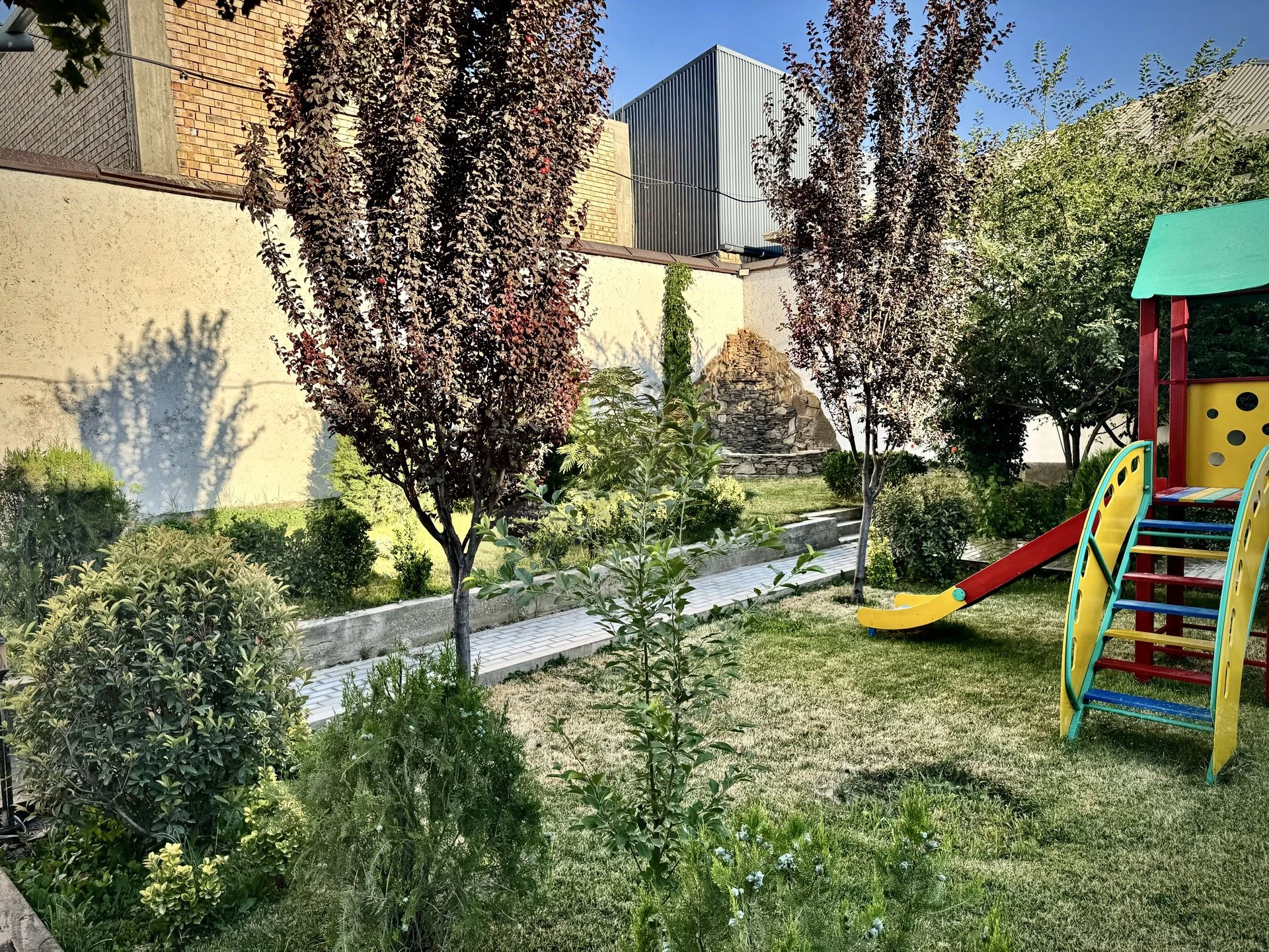 Image 5
