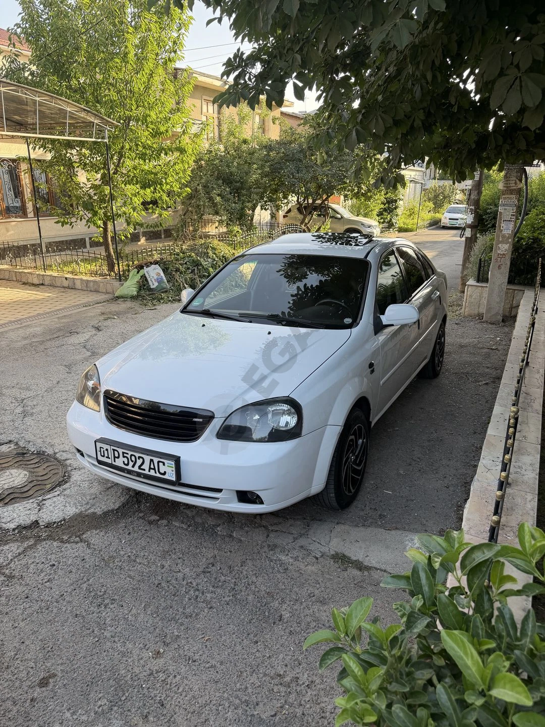 Image 6