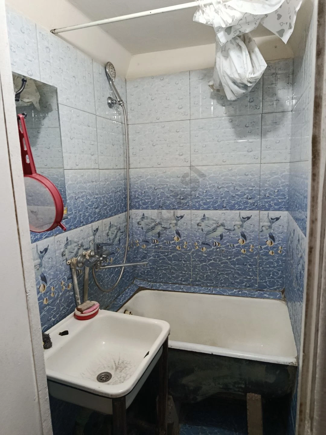 Image 4