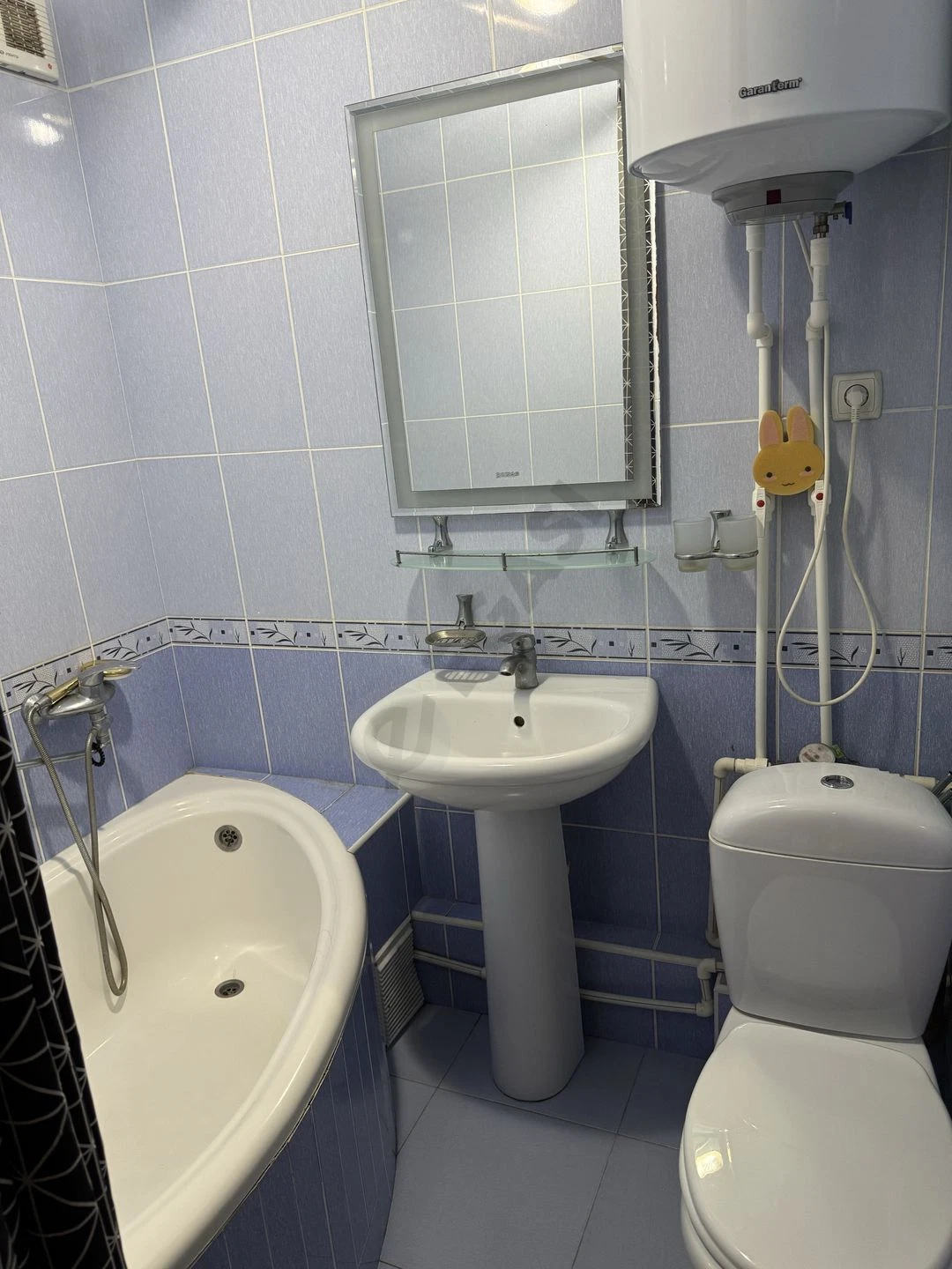 Image 7