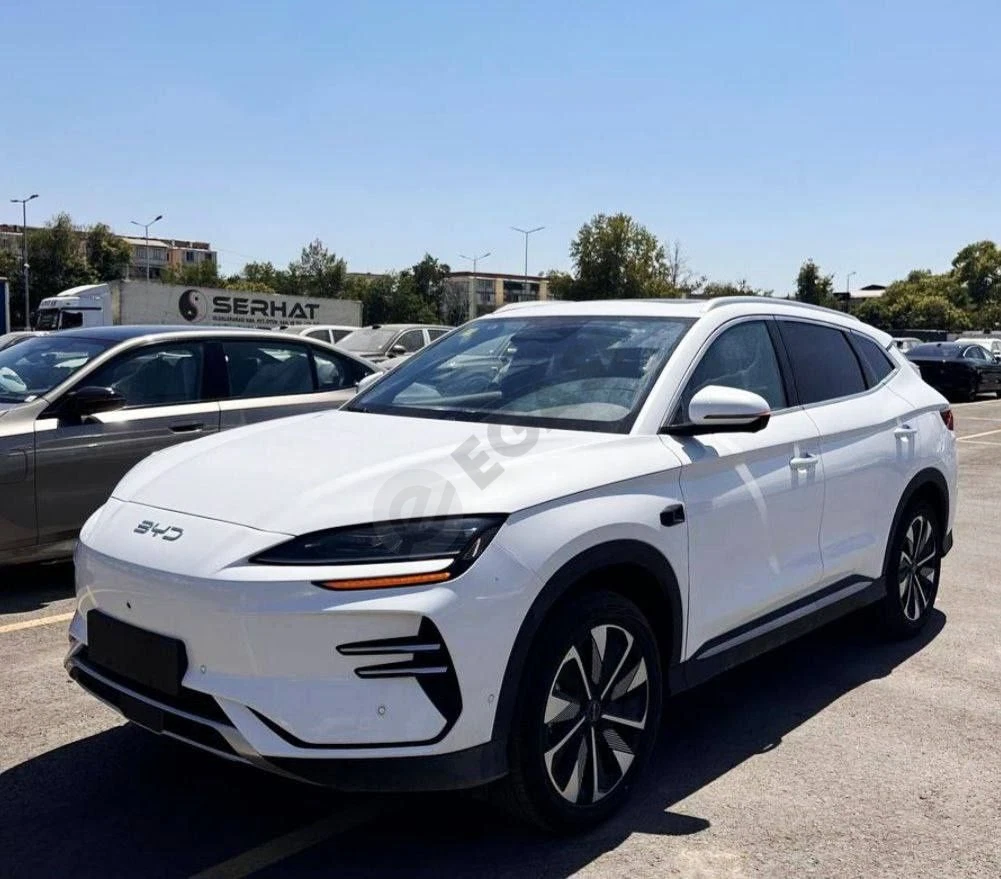 Byd chempion smart - Cover Photo