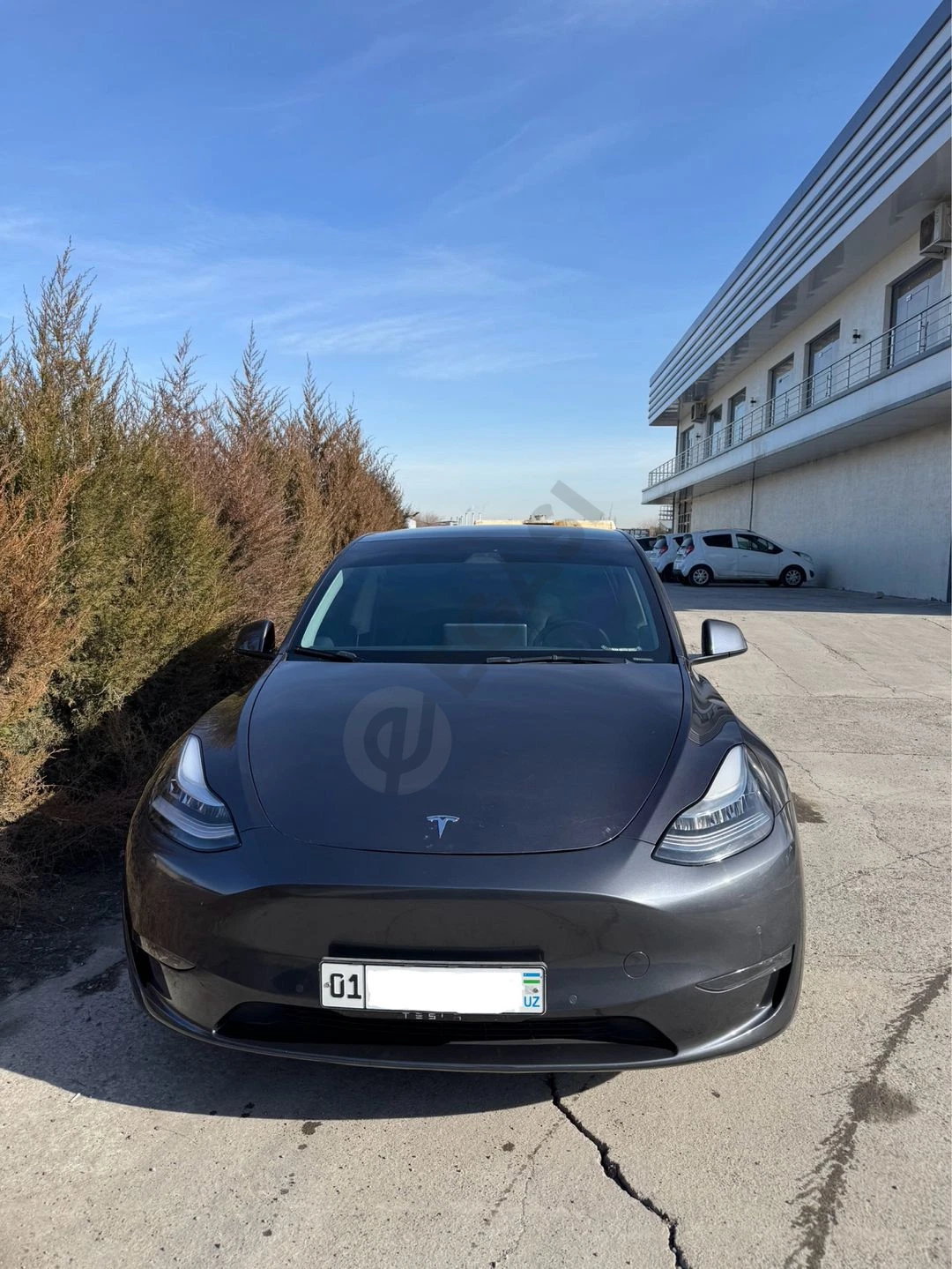 Tesla Model Y, Dual Motor 2021 - Cover Photo