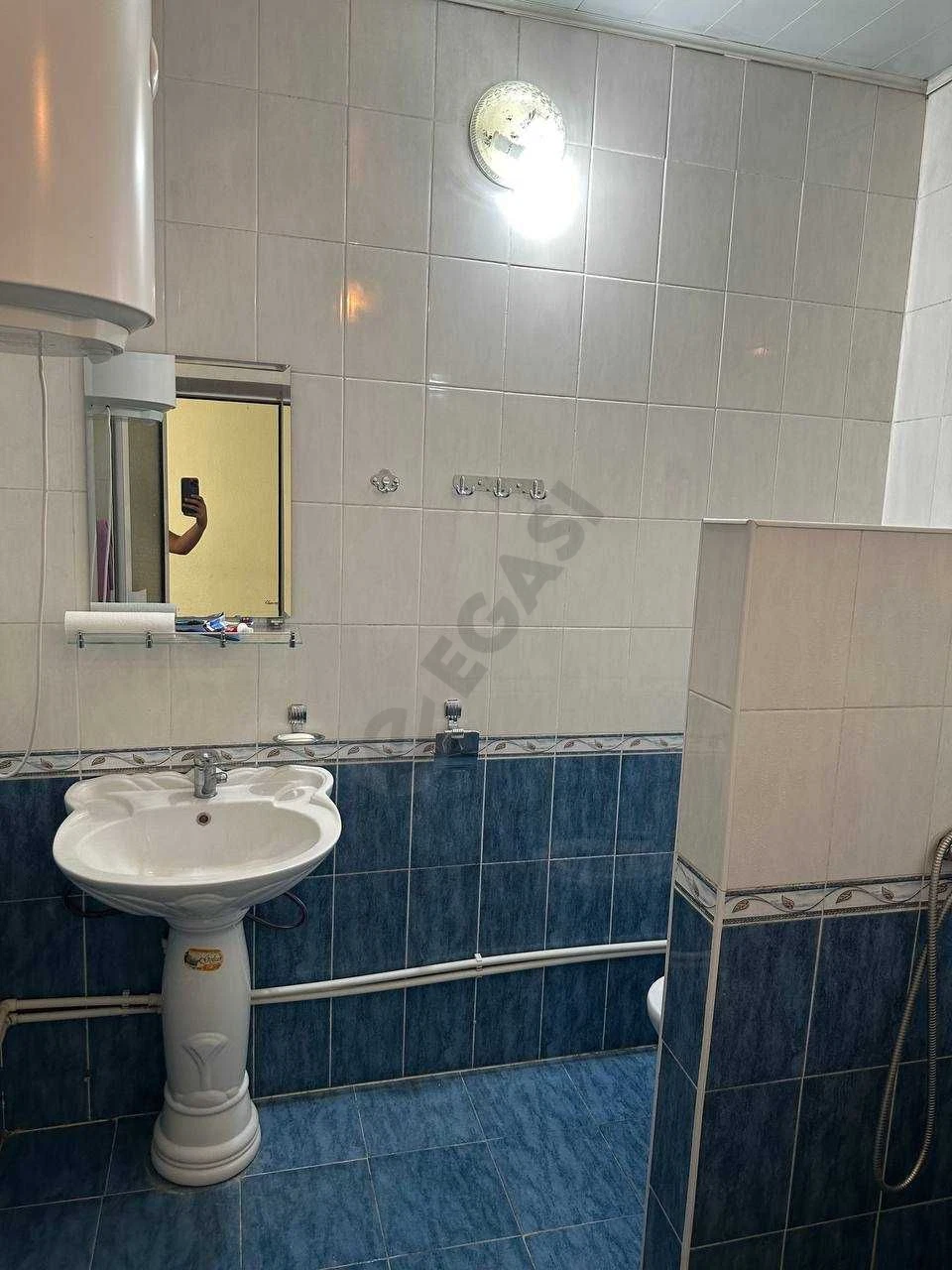 Image 7