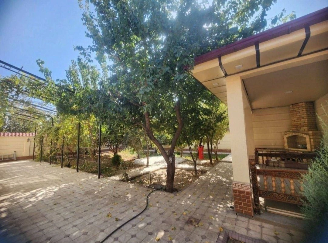 Image 8