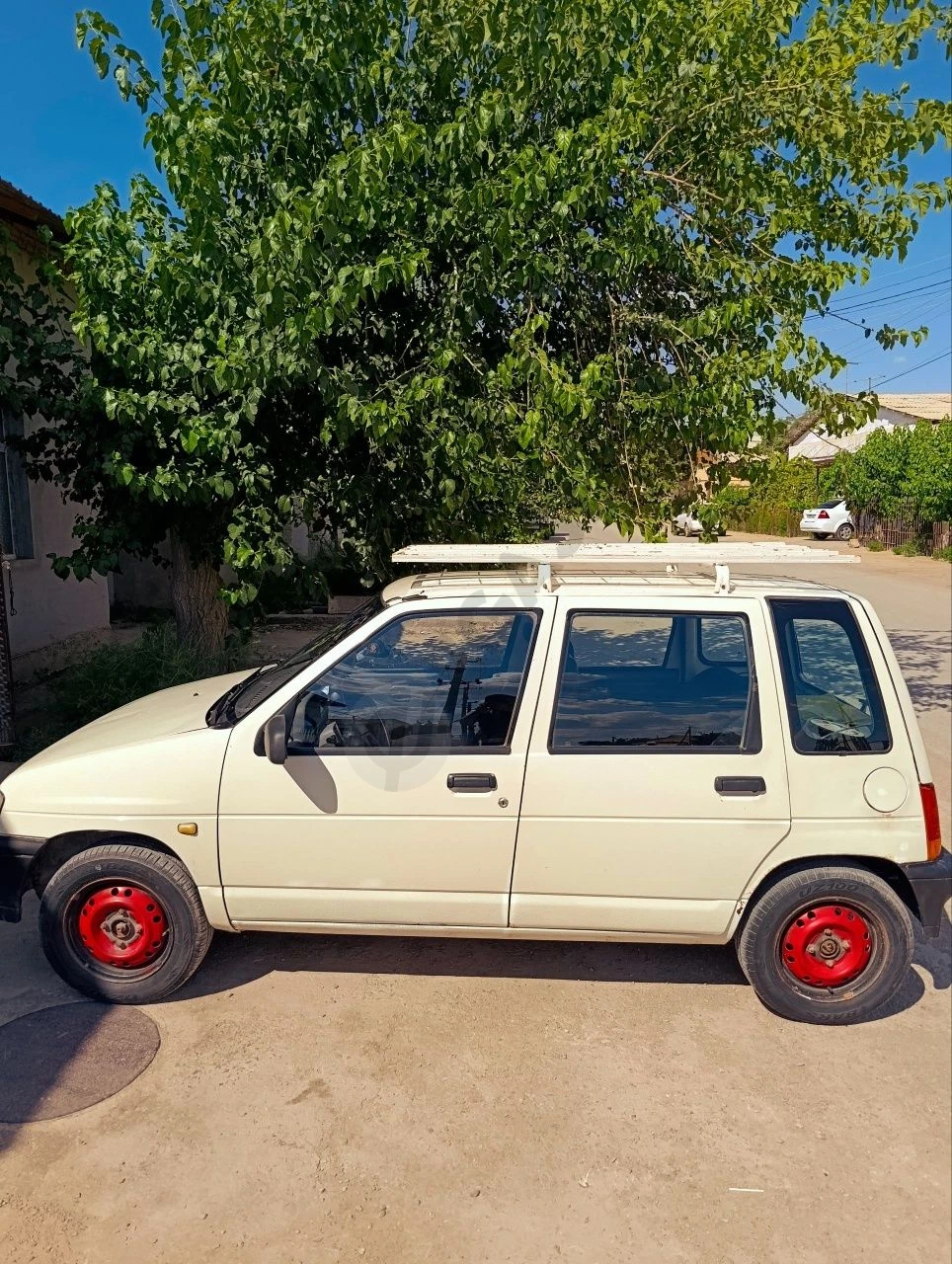 Image 4