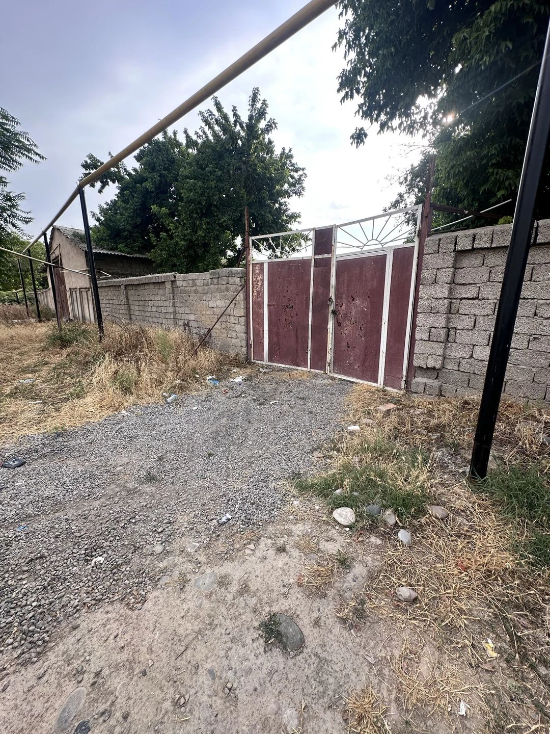 Image 8