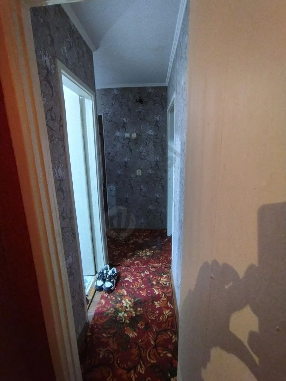 Image 7