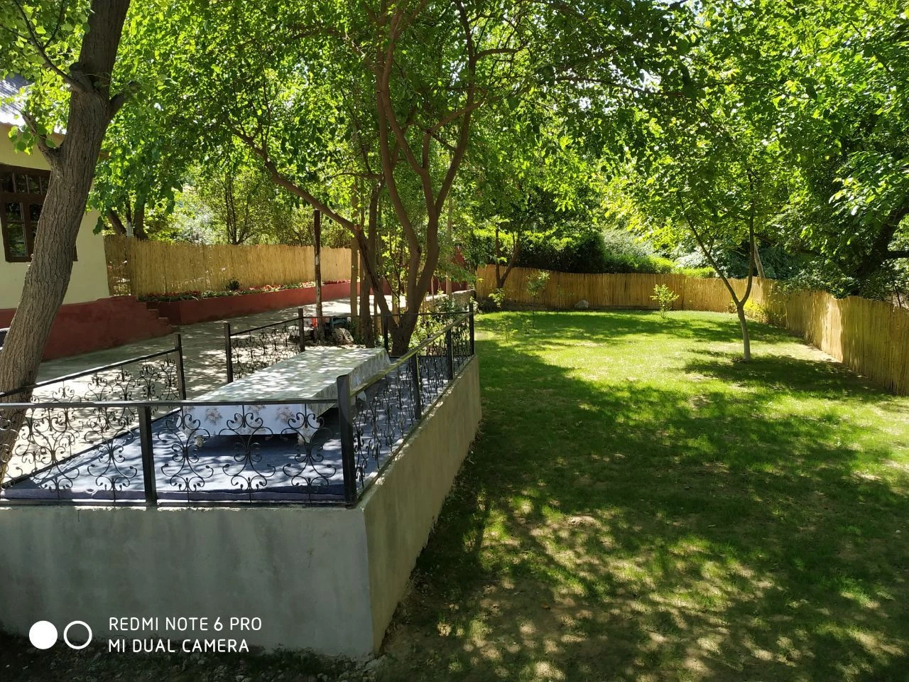 Image 6