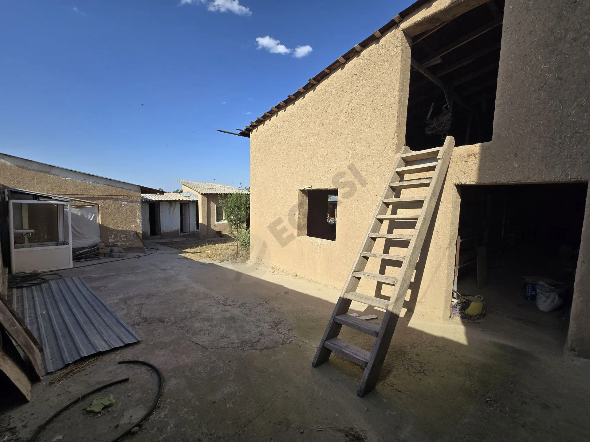 Image 7