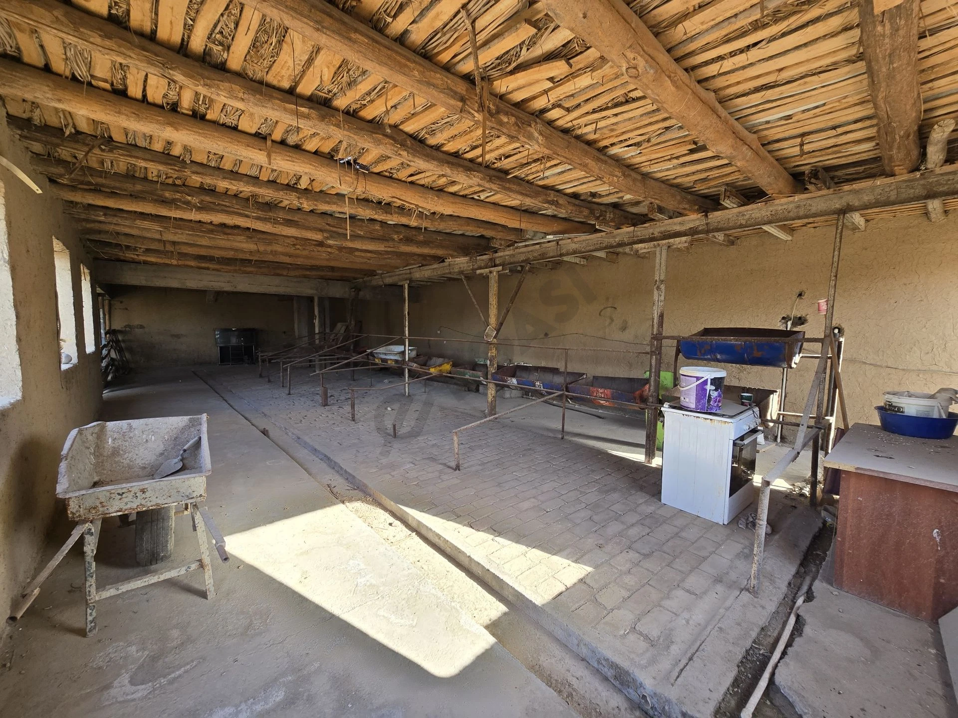 Image 12