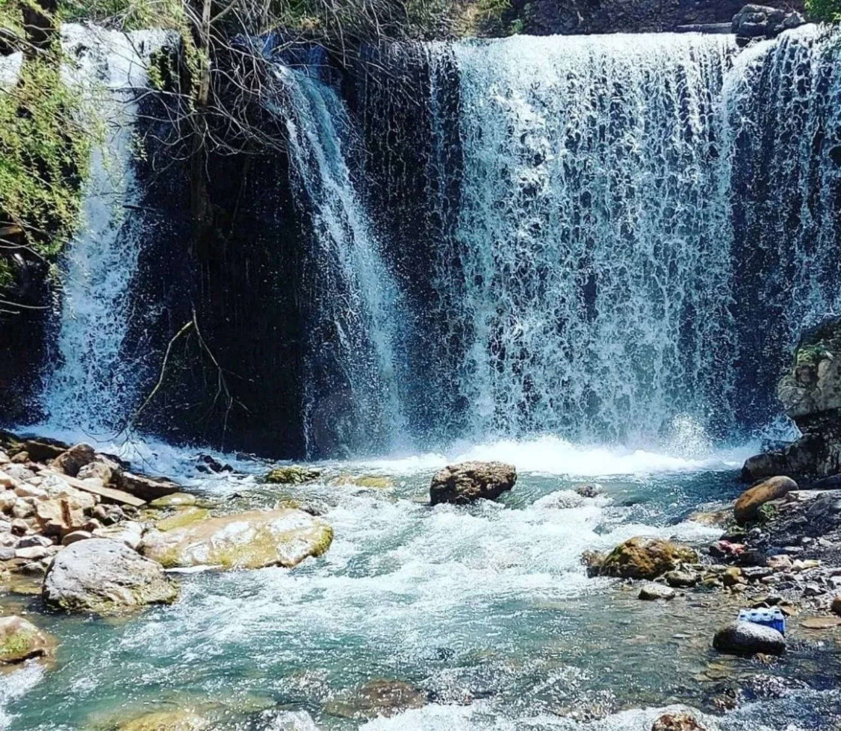 Image 8