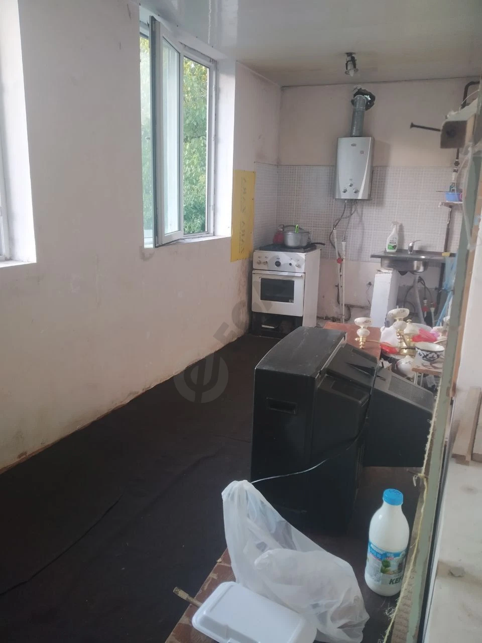 Image 6