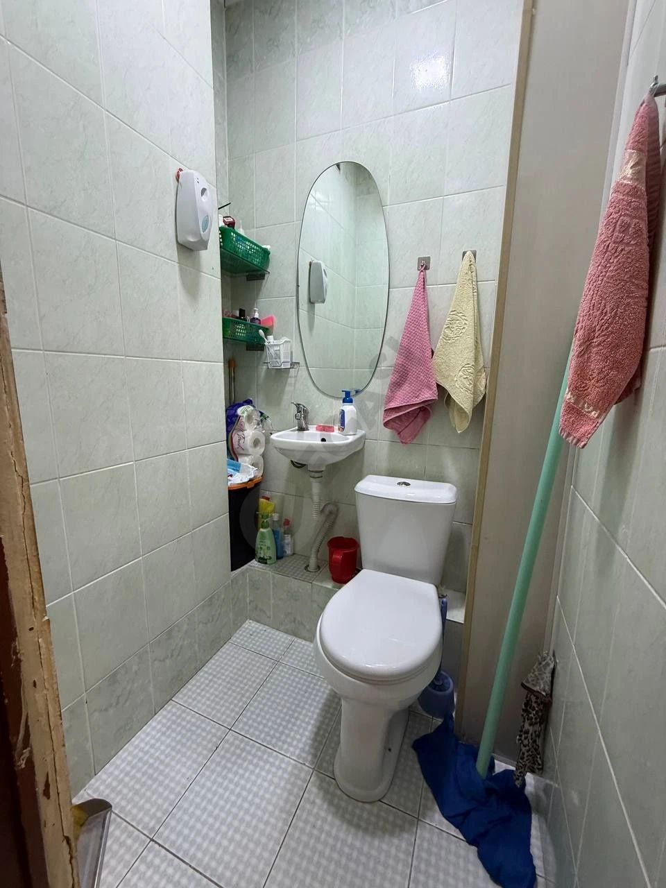 Image 7