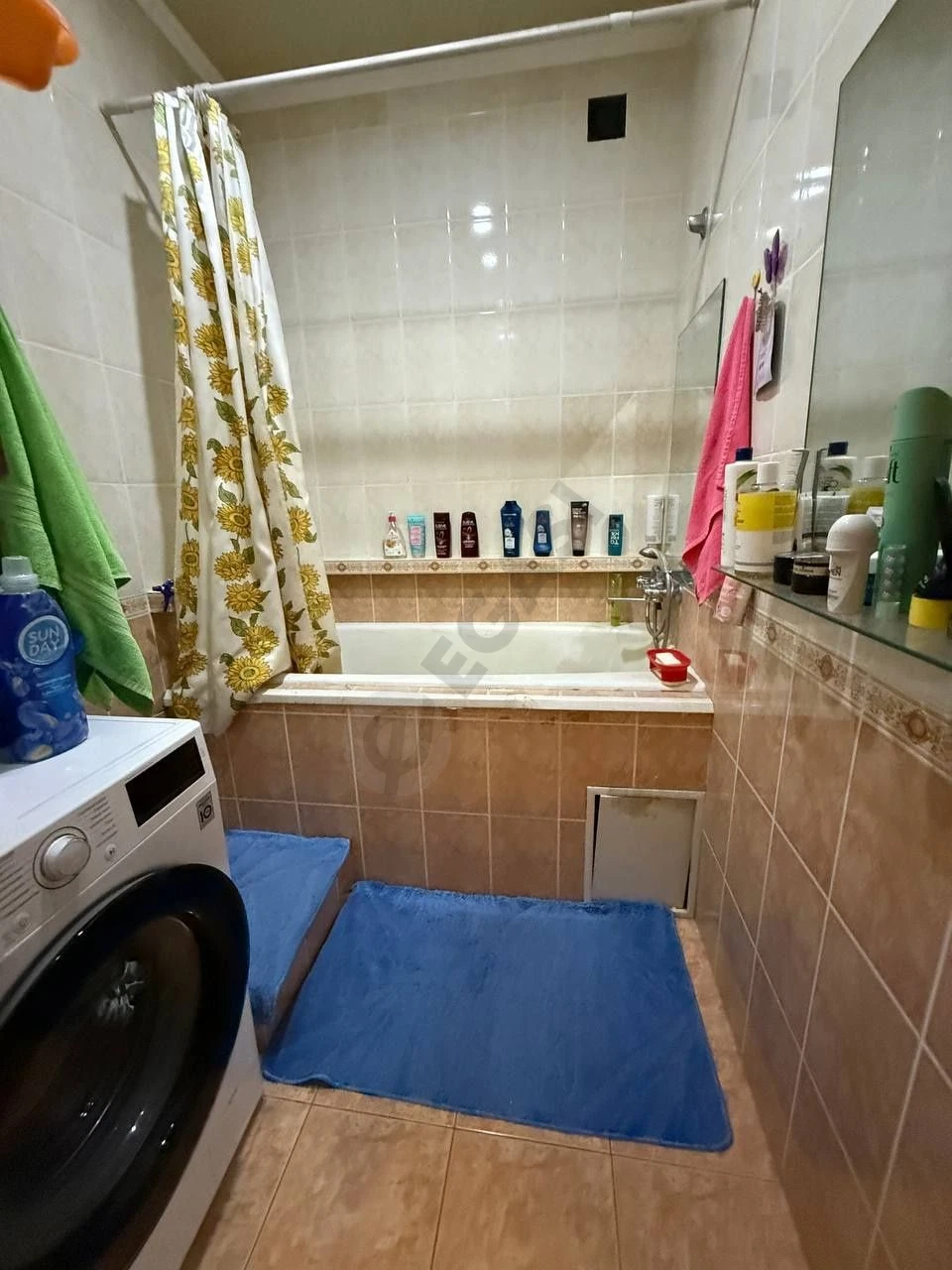 Image 8