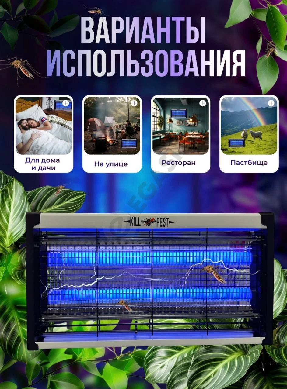 Advertisement - Cover Photo