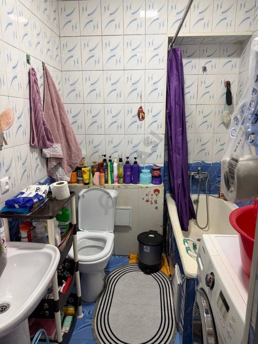 Image 5