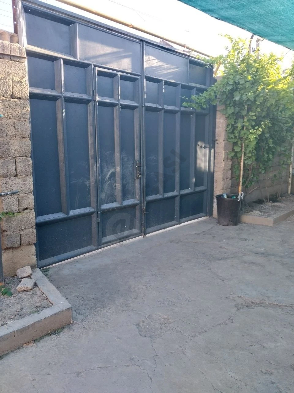 Image 5